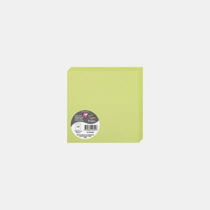 Carte pré pliée 135x270 velin 210g vert bourgeon Pollen