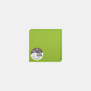 Carte pré pliée 135x270 velin 210g vert menthe Pollen