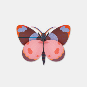 Papillon Bellissima - Studio Roof