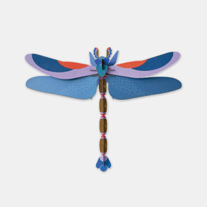Blaue Libelle - Studiodach
