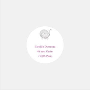 Stickers personnalisés naissance ma souris - 48ex