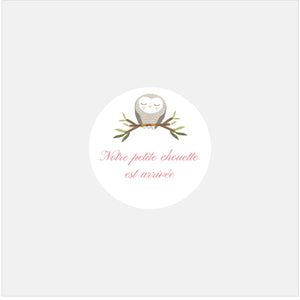 Personalized owl family birth stickers - 48ex