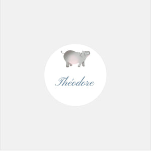 Personalized classic hippo birth stickers - 48ex