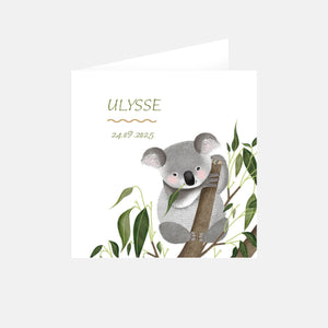Ankündigung der Geburt eines Koalas