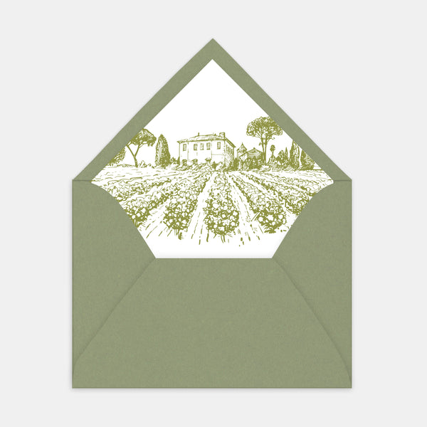 Engraved vineyard envelope lining