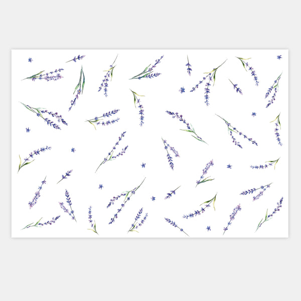 Vellum lavender sprigs