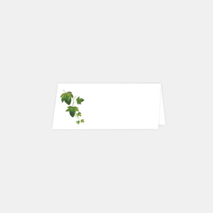 Watercolor vines place mark - 20ex