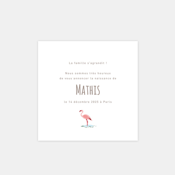 Pink flamingo jungle birth announcement
