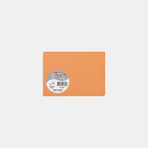 Card 110x155 vellum 210g orange clementine Pollen