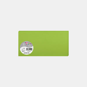 Card 106x213 vellum 210g mint green Pollen