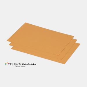Card 158x222 vellum 210g orange clementine Pollen