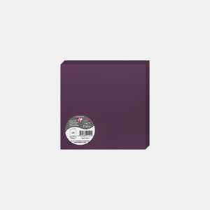 Carte pré pliée 160x320 velin 210g cassis Pollen