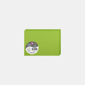 Carte pré pliée 110x210 velin 210g vert menthe Pollen