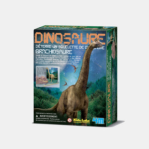 Dinosaurier-Ausgrabungsset