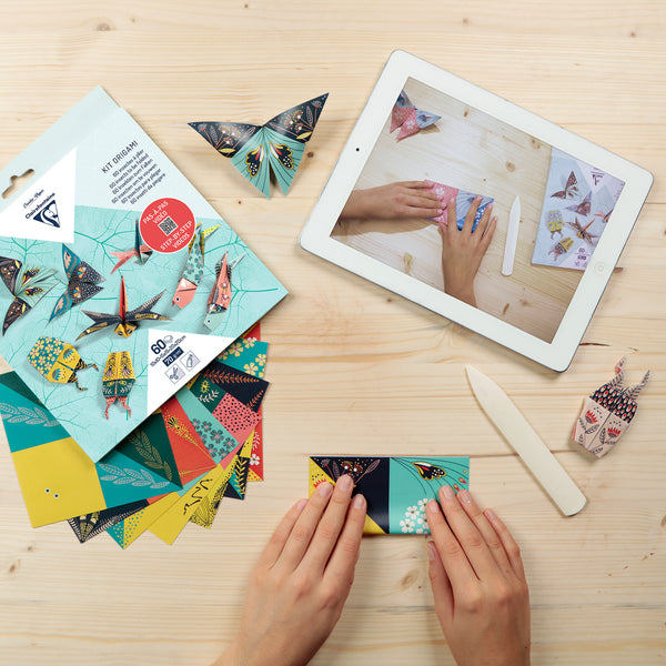 Origami-Set – Insekten-Dekor – 60 Blatt, 3 Größen