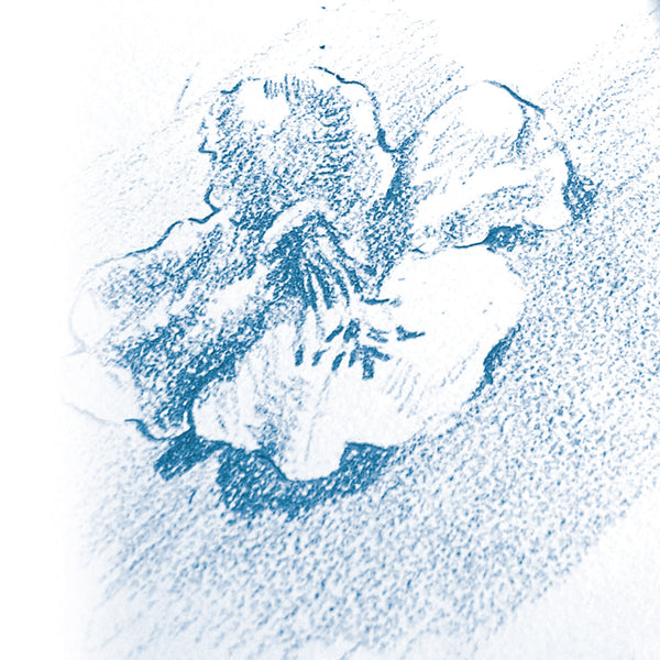 Papierbeutel zum Zeichnen von Getreide 224g - 24x32