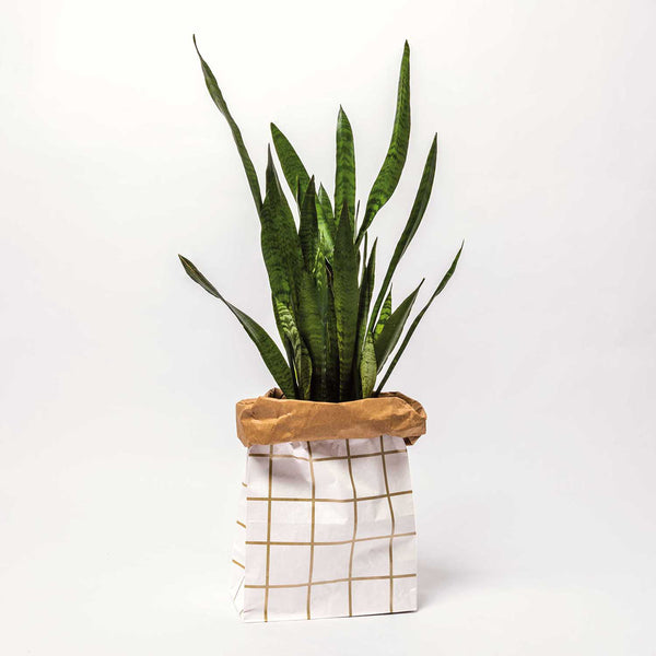 Paper bag Gold and white flat bottom - X large