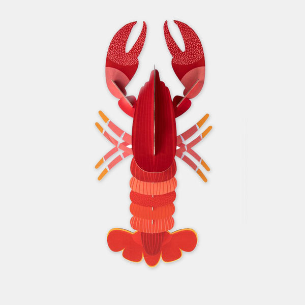 Lobster – Studiodach