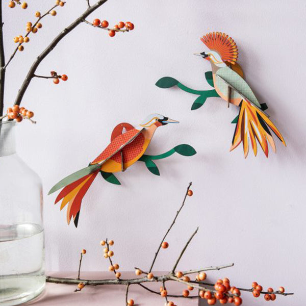 Obi, oiseaux de paradis - Studio Roof