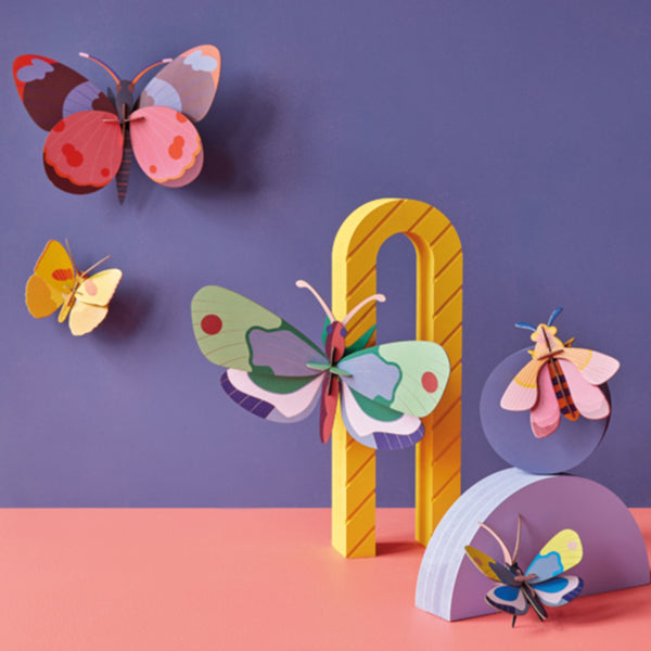 Papillon Bellissima  - Studio Roof