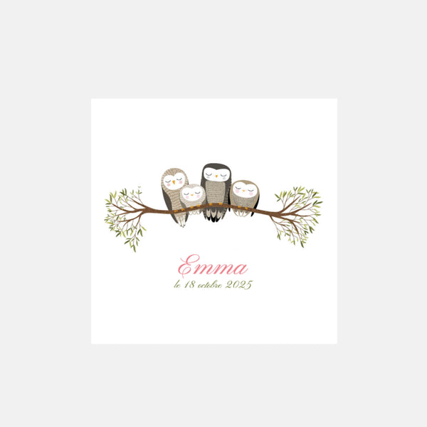 Owl family birth announcement