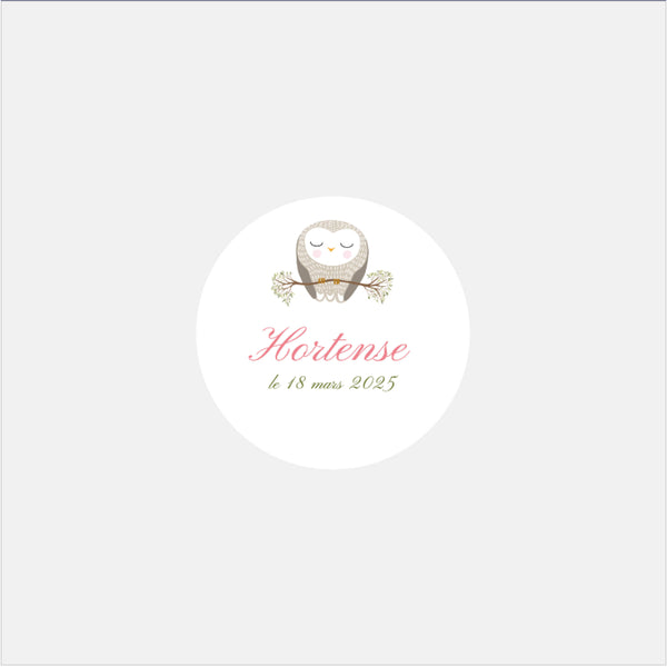 Stickers personnalisés naissance classique chouette - 48ex