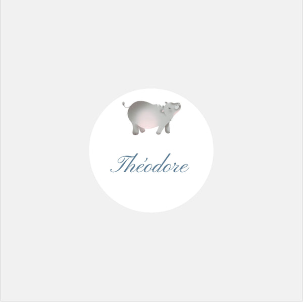 Stickers personnalisés naissance clasique hippo - 48ex