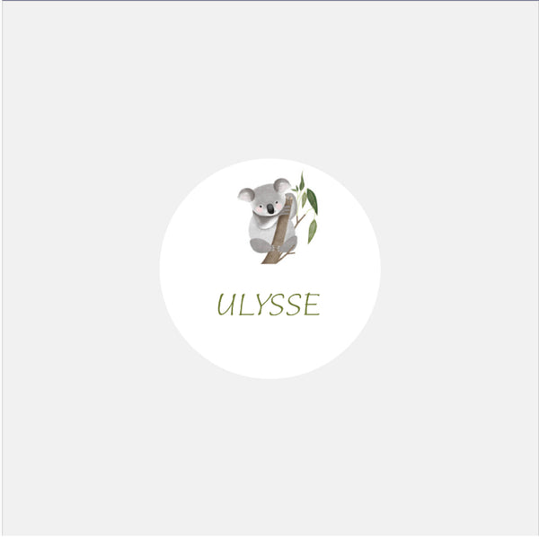 Personalisierte Koala-Geburtsaufkleber - 48ex
