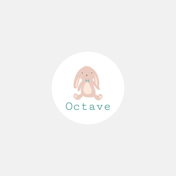 Stickers personnalisés naissance doudou garçon - 48ex