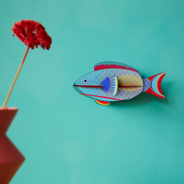 Papageienfisch - Studiodach
