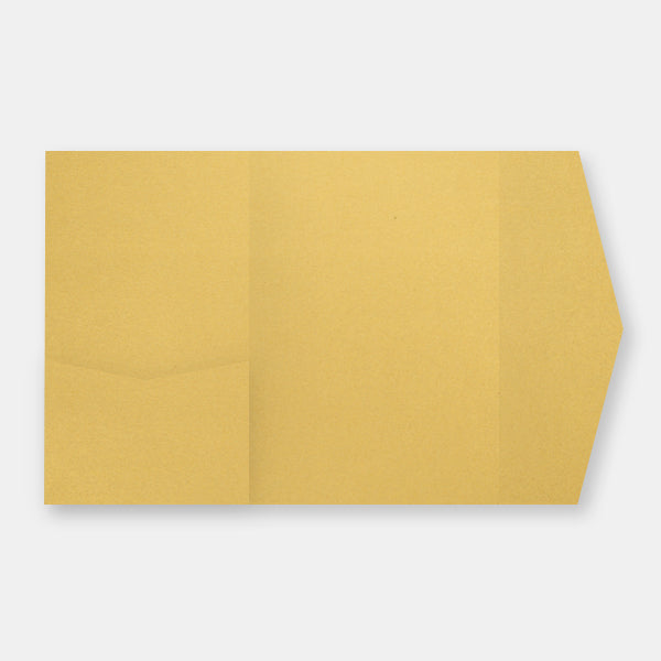 Pockart 180 metal gold compartment card