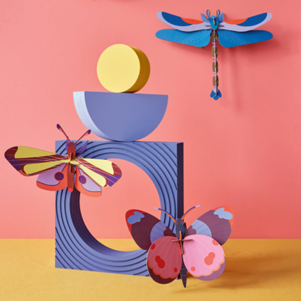 Blaue Libelle - Studiodach